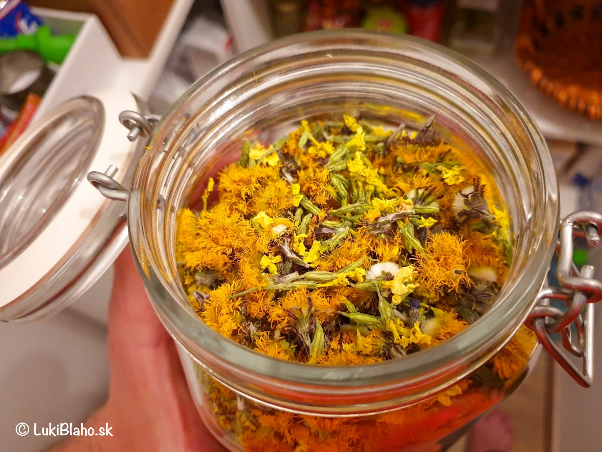 Zmes Podbeľ + Prvosienka + Plúcnik